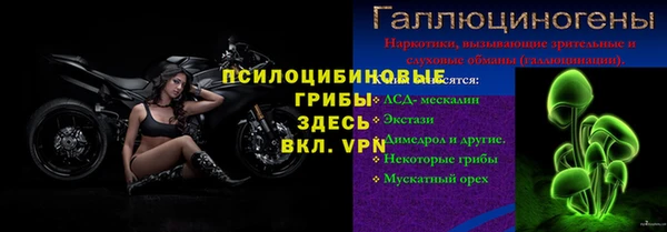 крисы Богородицк