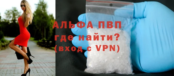 первитин Богданович