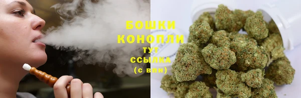 дмт Бородино