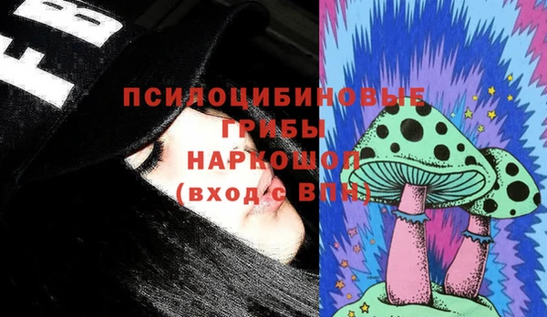эйфоретик Белокуриха