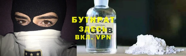 дмт Бородино