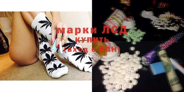 дмт Бородино